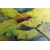 Slika rumeni cvet z vintage pridihom - 100x50