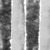 VIDAXL zavesa proti mrčesu iz šenilje (56x185cm), siva-bela