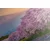 Slika japonski slap Fuji - 150x100