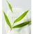 NIVEA Gel za tuširanje Aloe Vera, 750ml