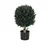 MID.YOU Umetna Rastlina Buxus