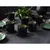 Creatable Set Skodelic Nordic Fjord Green, 6-Delni