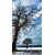 Fototapeta drevesa pozimi - 147x270
