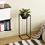 Aberto Design Dekorativna saksija GED-021, 22x60 cm, O 20 cm ,, Crna