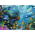 Trefl Puzzla Hidden Treasure 500 delova