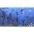 Nintendo Endless Ocean Luminous igra, Switch