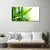 tulup.si Slika na platnu Bamboo leaf narava rastlin 100x50 cm