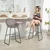 Homestar Set 2 barskih stolov 505x53x96 cm siva