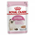 ROYAL CANIN Vlažna hrana za mačiće, u formi paštete Kitten Loaf 85gr x 12kesica