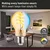 LED prigušiva sijalica FILAMENT E27/7,5W/230V 2200-5500K - Paulmann 29155