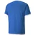Puma Dres teamLIGA Jersey