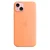 iPhone 15 Plus Silicone Case sa MagSafe-om - Orange Sorbet