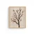 Wallxpert Slika Huhu737, 50 x 35cm