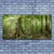 tulup.si Slika na steklu Narava jungle forest trees 140x70 cm 2 obešalnika