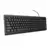 Trust tastatura Basics US lokalizacija
