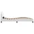 Vidaxl Posteljni okvir Dover bel 90x200 cm blago