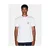 ARMANI EXCHANGE Majica temno siva/bela