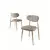 HANAH HOME Set stolica (6 komada) Vina Cappuccino Gold