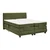 Boxspring Krevet Dixon 160/200 cm , maslinasto zelena