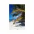 Plakat lepota plaže Anse Source - 20x30 no frame