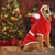 Paws & Whiskers Odelo za pse Christmassweat, Crveno
