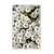 CONCEPTUM HYPNOSE Tepih (140x220) HMNT521