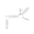 Philips LED stropni ventilator Fixed, premer 132 cm, bel, CCT, DC - Dnevna soba/jedilnica - Sodobni - Plastika