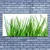 tulup.si Slika na platnu Grass on wall 125x50 cm