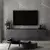 Hanah Home TV komoda Neon