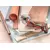 Einhell Dijamantska rezna ploča Easy-CUT 125mm/1mm Expert, za drvo, metal, plastiku