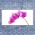 tulup.si Slika na platnu Orchid cvet orhideje 140x70 cm