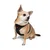 Paws & Whiskers Am za pse Air-Mesh, Crni