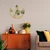 Wallity Zidna dekoracija Haiyang, 70x70x5 cm,