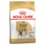Royal Canin Breed Nutrition Bigl, 3 kg