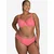 SugarShape Tangice Clara malina
