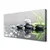 tulup.si Slika na platnu Zen spa stones grass 100x50 cm