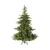 Everlands Novogodišnja jelka Grandis, 210 cm, 550 lampica, Zelena sa lampicama