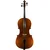 Violončelo 1/4 Fenice Studente komplet