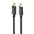 GEMBIRD Kabl CC-DP2-10M crni
