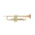 Trobenta Roy Benson Bb TR-202G RB701.075