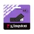 Kingston KINGSTON 64GB DataTraveler Exodia S USB 3.2 Gen1 DTXS64GB (USB01311)  S DTXS (01311) -->