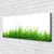 tulup.si Slika na platnu Grass nature rastlin 120x60 cm