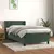 Vidaxl Box spring postelja z vzmetnico temno zelena 80x200 cm žamet