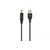 Gembird CCP-USB2-AMBM-6 USB 2.0 Connection cable, A/M B/M, Black, 1.8m