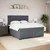 Vidaxl Box spring postelja z vzmetnico temno siva 200x200 cm žamet