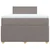Vidaxl Box spring postelja z vzmetnico taupe 120x190 cm blago