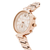 Ure Michael Kors MK6282