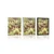 Plakat gozd z napisom Freedom - 60x90 white