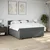 Vidaxl Box spring postelja z vzmetnico temno siva 200x200 cm blago