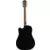 Washburn Heritage D10SCE | Black